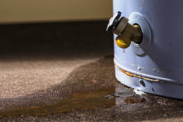  Essex Fells, NJ Water damage restoration Pros