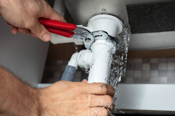 Best Water damage restoration mold remediation  in Essex Fells, NJ