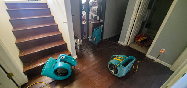 Best Water damage restoration services  in Essex Fells, NJ