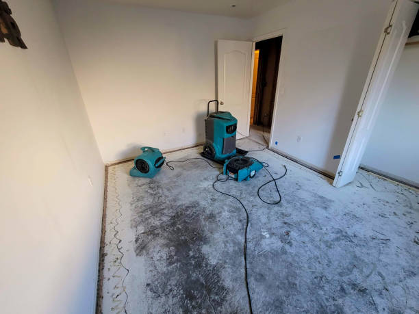Best Water damage restoration company  in Essex Fells, NJ