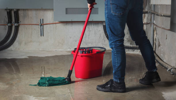 Best Residential water damage restoration  in Essex Fells, NJ