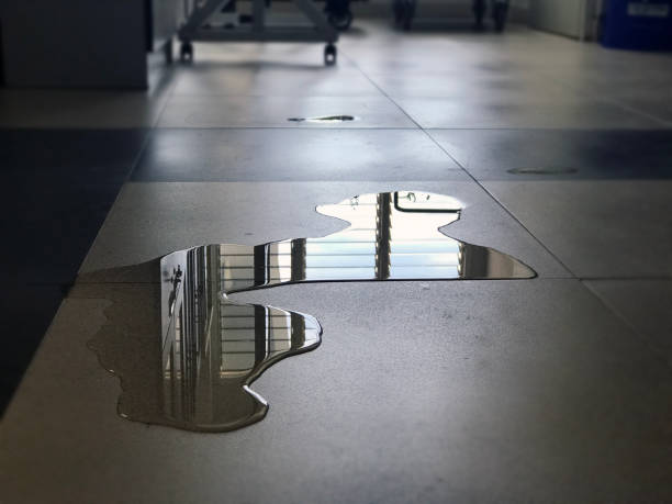 Best Water damage restoration experts  in Essex Fells, NJ