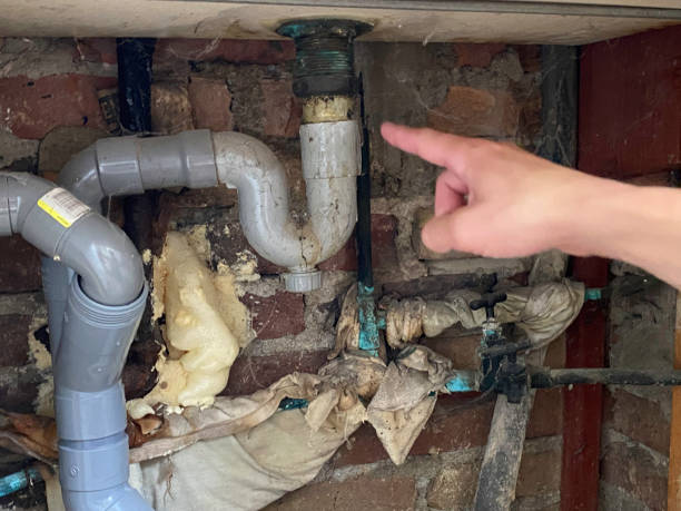 Best Commercial water damage restoration  in Essex Fells, NJ