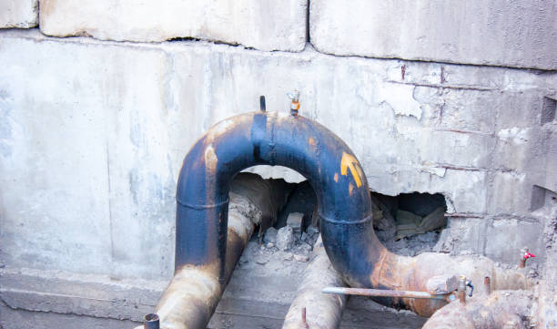 Best Flood restoration services  in Essex Fells, NJ