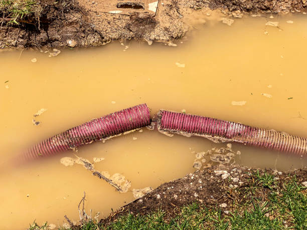 Best Emergency water damage restoration  in Essex Fells, NJ