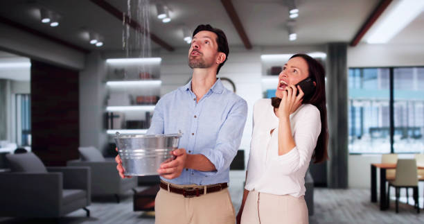 Best Ceiling water damage repair  in Essex Fells, NJ